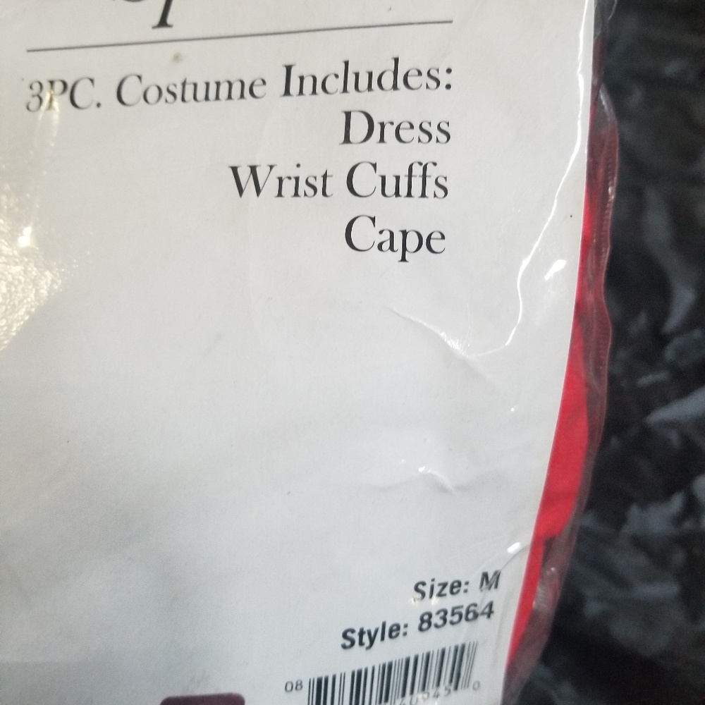 Costume - Picture 2 of 3